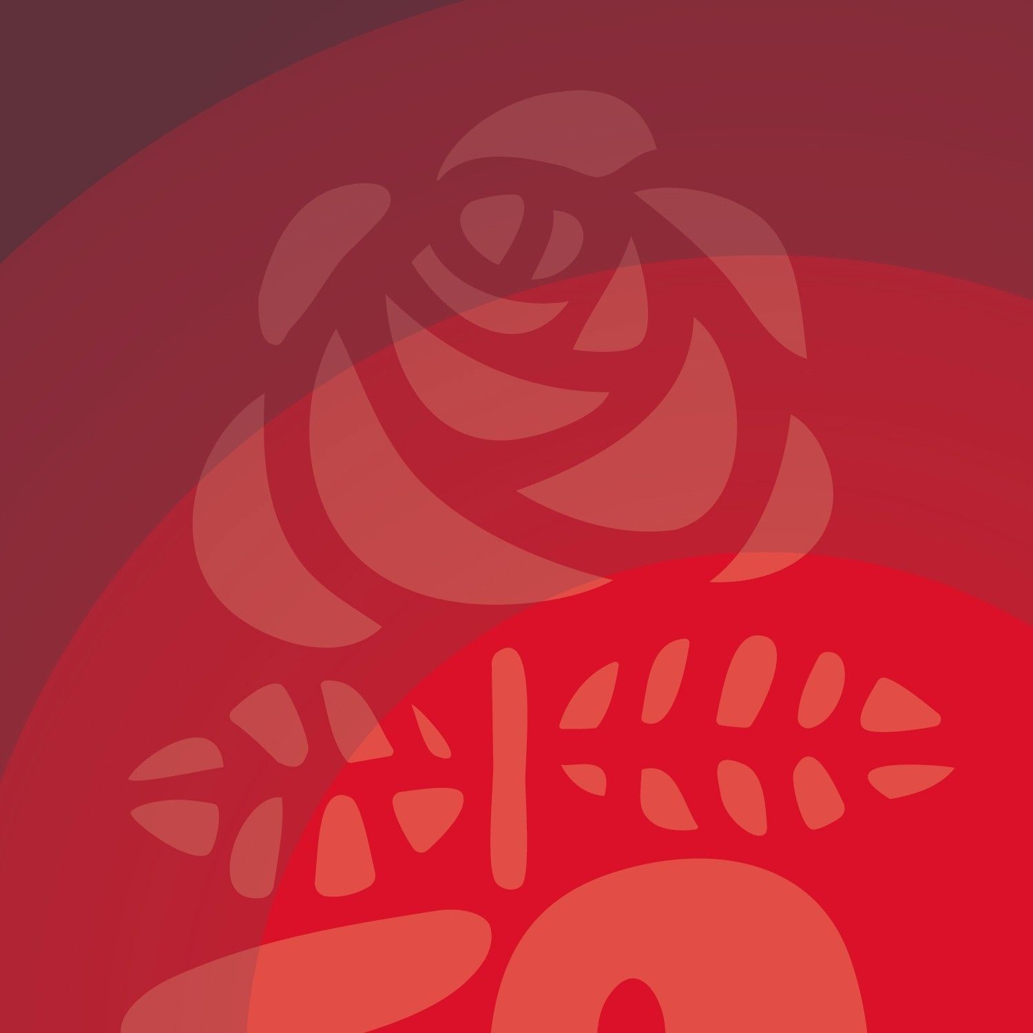 Elections cantonales du 18 avril 2021